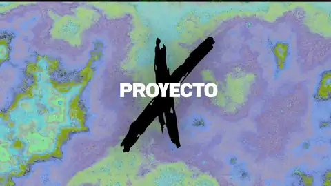 Portada de Proyecto X